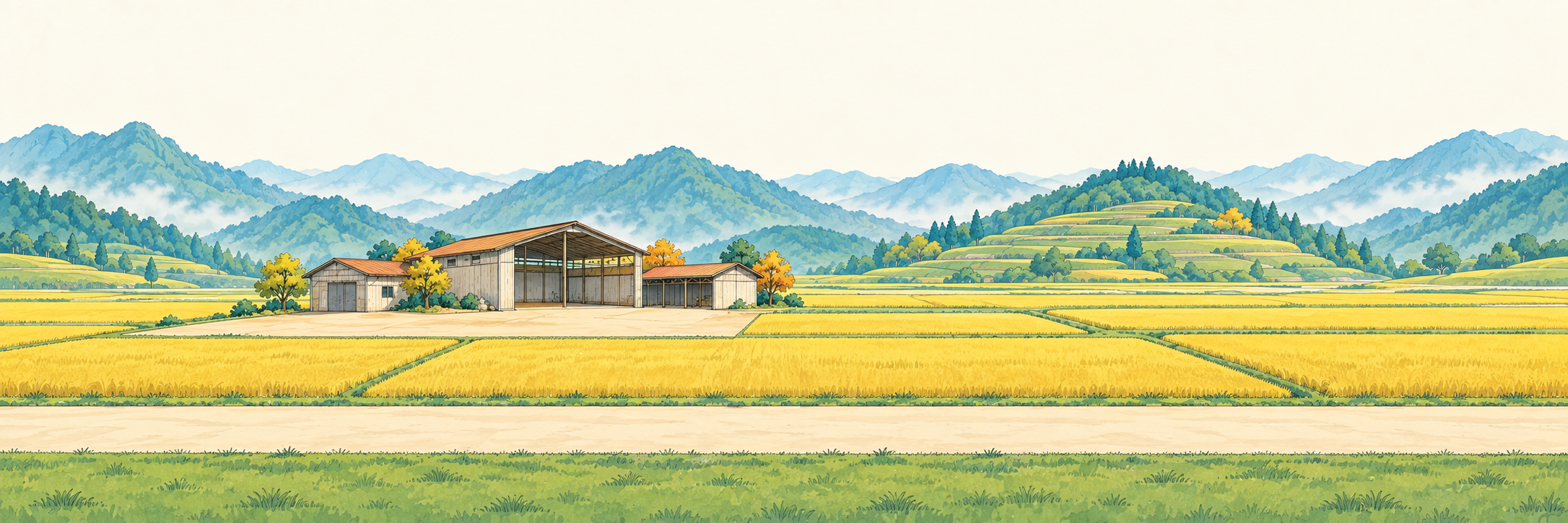 秋日种子烘干加工与出山道路